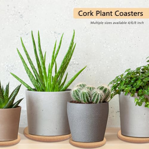3 Sizes Cork Plant Coasters, 4/6/8 Inch Double Layers Thickened Cork Plant Mats, 10 Pcs Plant Coaster for House Plants - Image 3