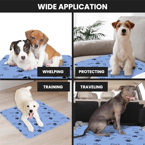 Image of Buddy's Best Washable Pee Pads for Dogs - Medium (Round 36 inch) - Ultra-Absorbent, Non-Slip, Ideal for Training, Incontinence - (2-Pack) + Bonus Grooming Glove