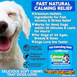 Calming Chews for Dogs  Dog Calming Treats Made in Usa Vet Developed Dog Anxiety Relief Separation Fireworks Travel  Stress Support Melatonin Natural  Holistic 90 Calming Treats  Cucciolini Doodles Calming chews for dogs  dog calming treats made in usa vet developed dog anxiety relief separation fireworks travel  stress support melatonin natural  holistic 90 calming treats   cucciolini doodles