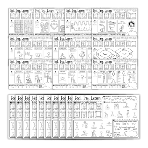 Actividades calmantes para niños Feel Try Learn hojas de autorregulación emocional pack de 20