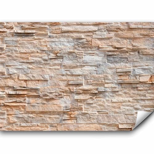 murando - Vlies Fototapete Steinwand 400x280cm Foto Tapete Schlafzimmer Wohnzimmer Vliestapete XXL Motivtapeten Bildtapete 3d Effekt Wand Dekoration - Steinoptik Stein 3d Effekt f-B-0018-a-c