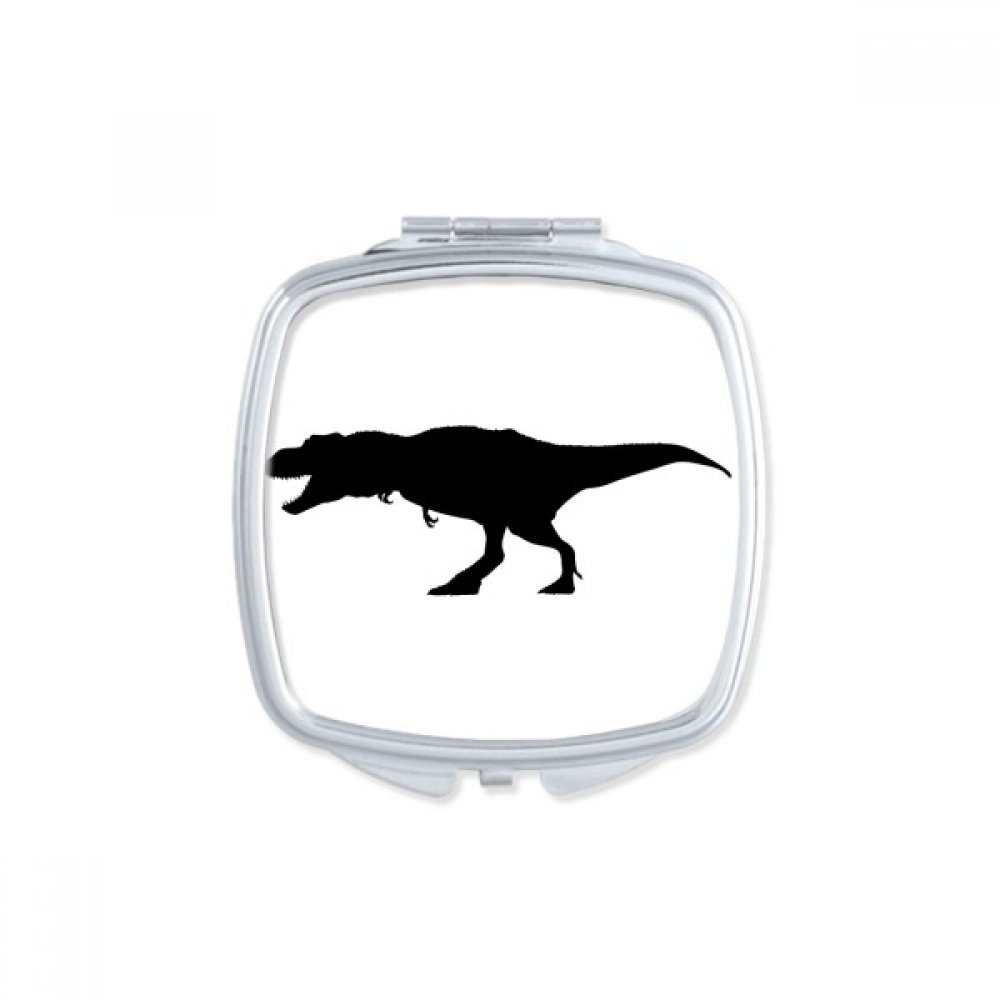 Miroir de poche cadeau mignon motif dinosaure idée cadeau miroir carré compact fille