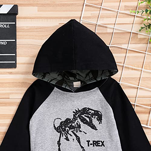 Image of HINTINA Baby Boys Dinosaur Long Sleeve Hoodie Tops Sweatsuit Pants Winter Outfit Set