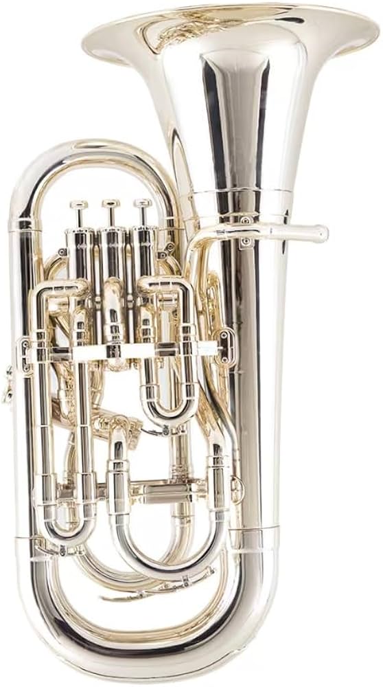 Amazon | PLAYTECH (プレイテック) プラスチックユーフォニアム 2kgの