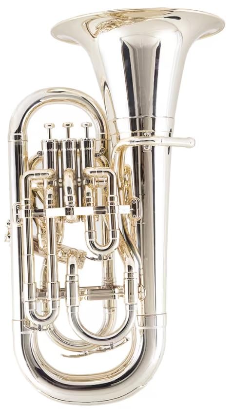 プラスチック ユーフォニアム PLAYTECH マウスピース付 P Amazon | PLAYTECH (プレイテック) プラスチックユーフォニアム