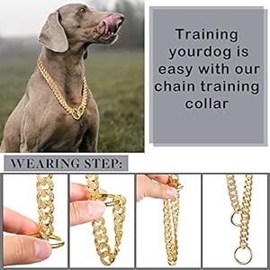 Gold chain dog collar link dog chain metal dog chain collars dog link collar for small medium large dogs 14 inch   cucciolini doodles