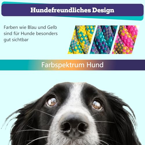 LUCKY LUCY Hundeleine 3m, für mittel & große Hunde (bis 80kg), reflektierend, mit starkem Aluminium sicherheitskarabiner, schöner Fuchsia