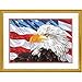 Dimensions , Bald Eagle, PaintWorks Paint by Numbers Kit for Adults and Kids, 20'' x 14'