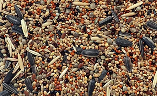 RS-Birds-Grains-Pet-Loves-Mix-Seed-Bird-Food-Seed-Food-for-Birds-of-All-Life-Stages-1-KGPack-of-1