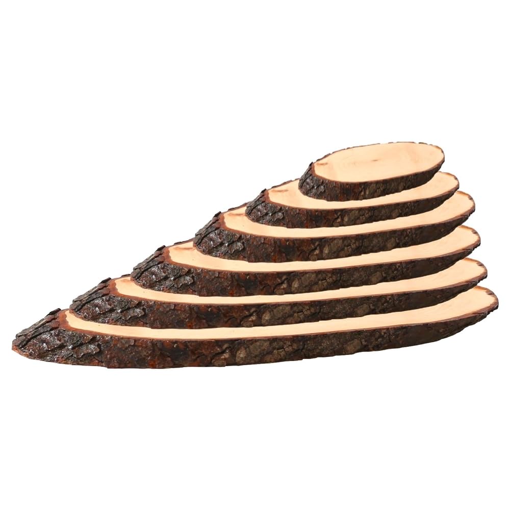 Bütic Holzscheibe Esche Oval – B-Ware, Ca. 55 Cm Lang, Geschliffen, Als Servierbrett Oder Deko