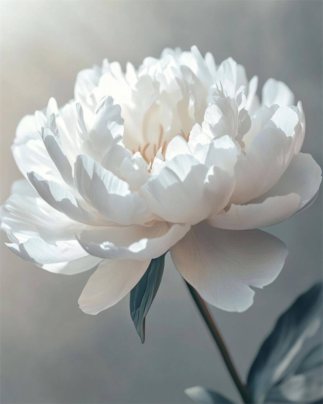 Rkflgew L Flowers 14Ct Cross-Stitch Kits Fantasy White Peony Diy Embroidery For Adults Beginner Needlework Kit With Patterns Needlepoint Art 40X50cm