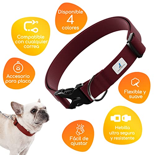 Collares para perros 2 Imagen adicional