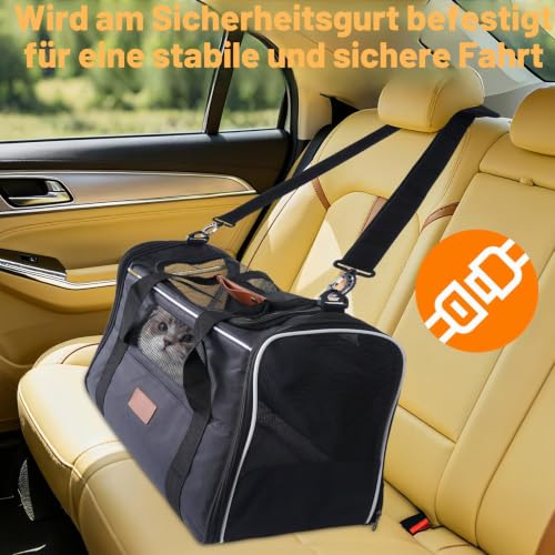 Faltbar Transportbox Katzen, Katzentransportbox mit Sicherheit Reißverschlüsse, Napf, Wendekissen, Katzen Transportboxen für kleine bis mittelgroße Katzen und Welpen bis 7 kg