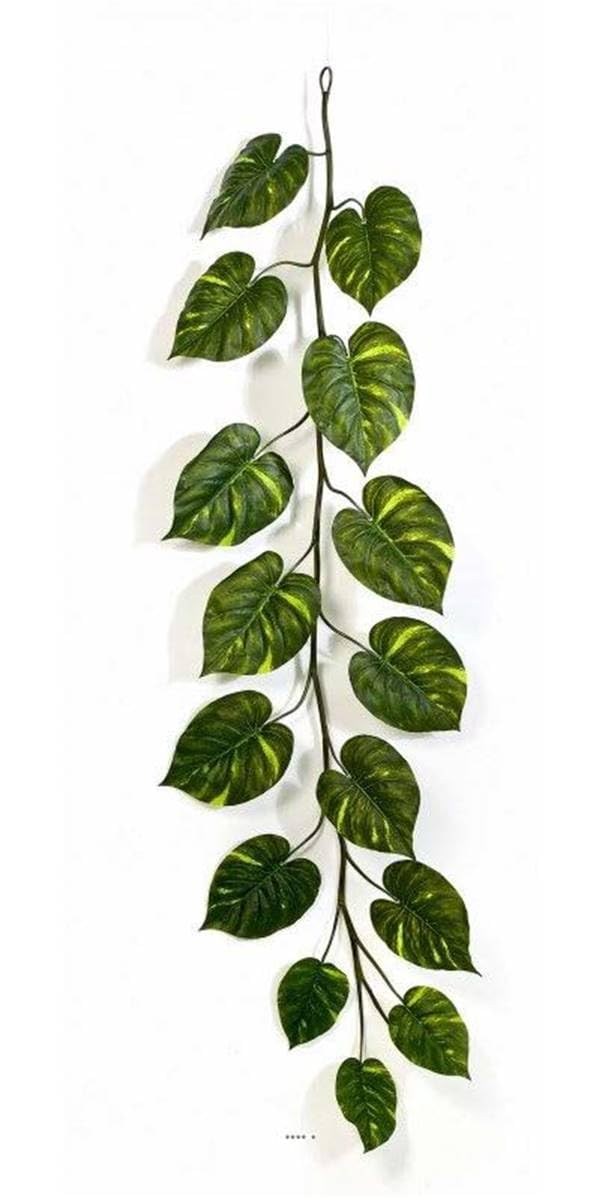 Ghirlanda di foglie di pothos H 230 cm larghezza 70 cm
