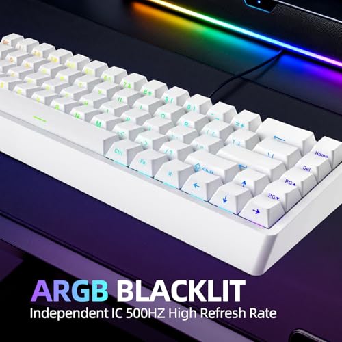 Image of IROK ND68 68 Keys Wired Magnetic Switch Keyboard, 0.005MM RT Accuracy, 8KHZ Polling Rate /Latency As 0.125MS /256KHZ Single Key Scan Rate /ARGB,Hot Swappable,Gasket Structure Gaming Keyboard(White)