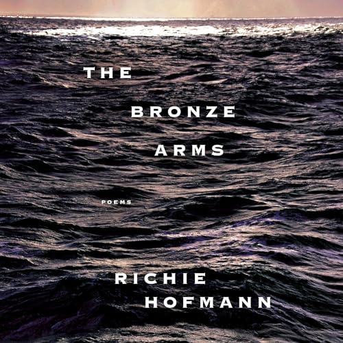 Page de couverture de The Bronze Arms