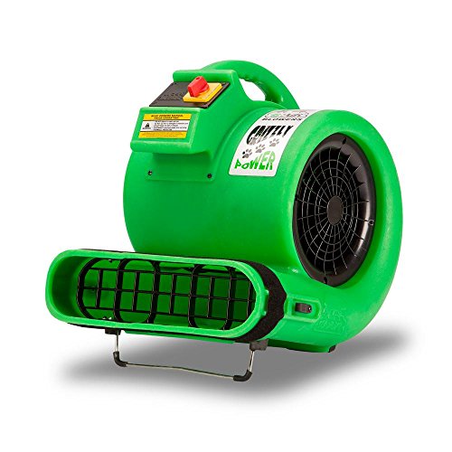 B-Air BA-GP-1-GN Grizzly Gp-1 1 Hp Air Grizzly Mover Carpet Dryer Floor Fan thumb #1