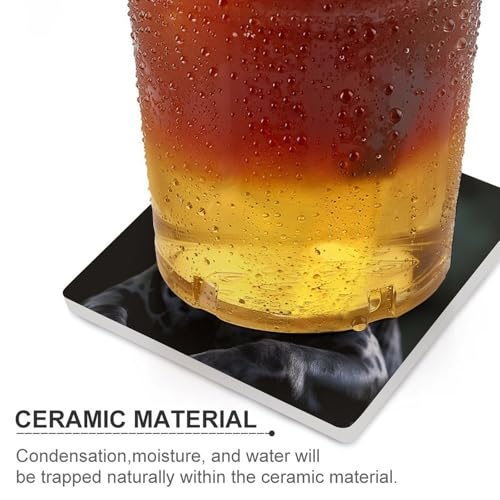 Dessous de verre panthère noire réutilisables cuisine et table basse - 5