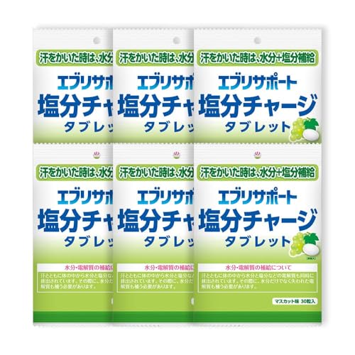 エブリサポート 塩分チャージタブレット マスカット味 180粒（30粒入×6袋）塩分補給 塩分タブレットのサムネイル