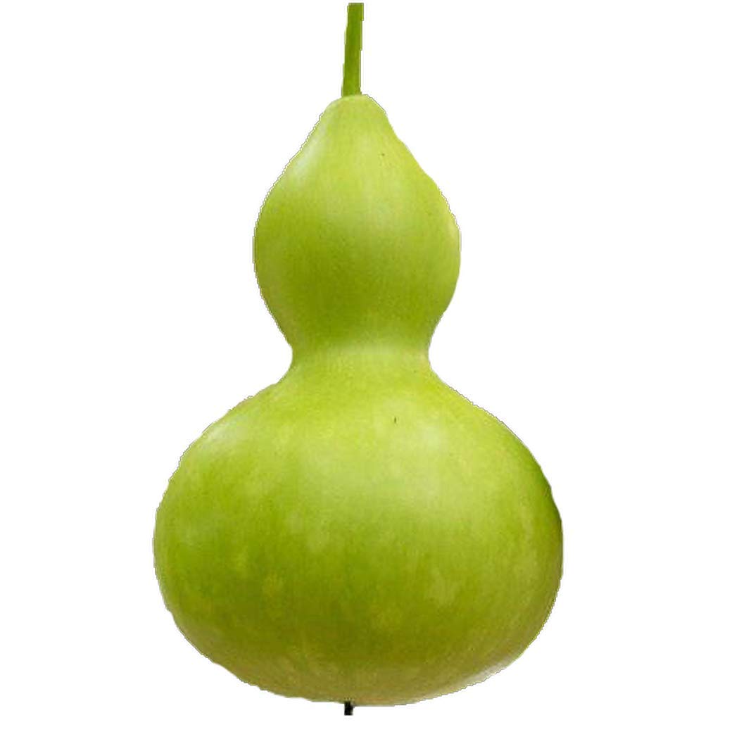 Buy MABES WAREHOUSE Small Bottle Gourds 20 Birdhouse Gourd, Lagenaria