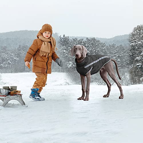 Idepet Wasserdichter Hundemantel Winter Warme Jacke, Winddichte Haustierkleidung Hundejacke Outfit für kleine mittelgroße Hunde mit Geschirrloch XL-6XL