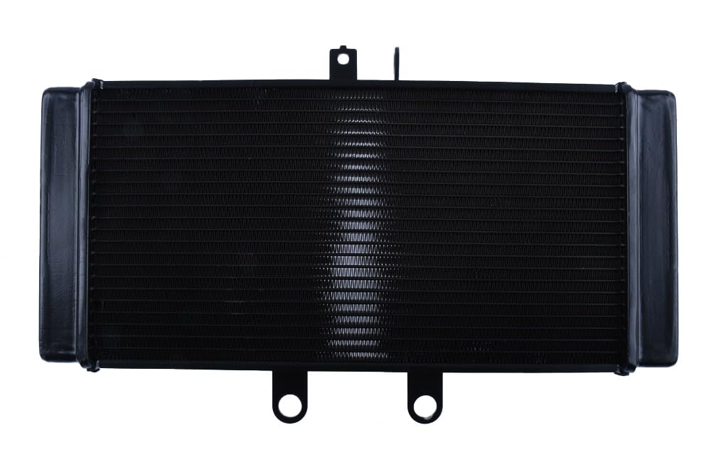 avdb-Moto Radiador de Agua Compatible Avec Suzuki GSF 650 N Bandit WVCJ 2007-2010, GSF 650 N Bandit WVCZ 2011-2016, GSF Bandit S 650 2006-2007 Tipo Original en Aluminio