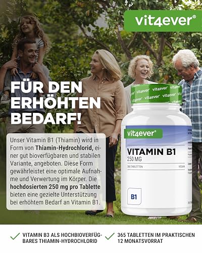 vit4ever Vitamin B1 (Thiamin) - 250 mg - 365 Tabletten - Premium: Thiamin Hydrochlorid - Hohe Bioverfügbarkeit - 12 Monatsvorrat - Ohne unerwünschte Zusätze - Vegan