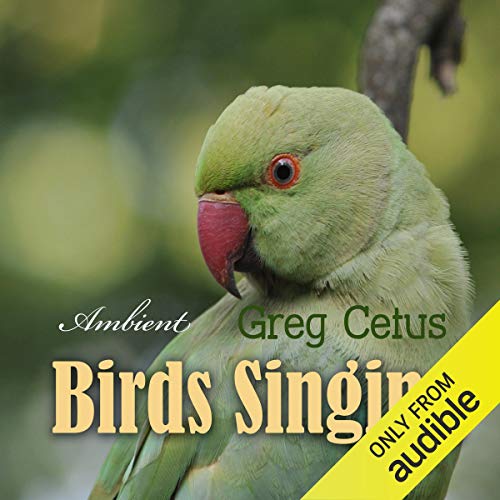 Listen the birds is singing. Bird sing. Bird sounds. Listen the birds is singing. Book bird.