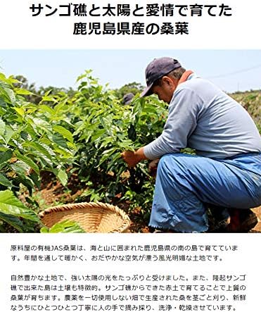 話題の行列 オーガニック 有機 健康食品の原料屋 桑の葉 100g×10袋 約 