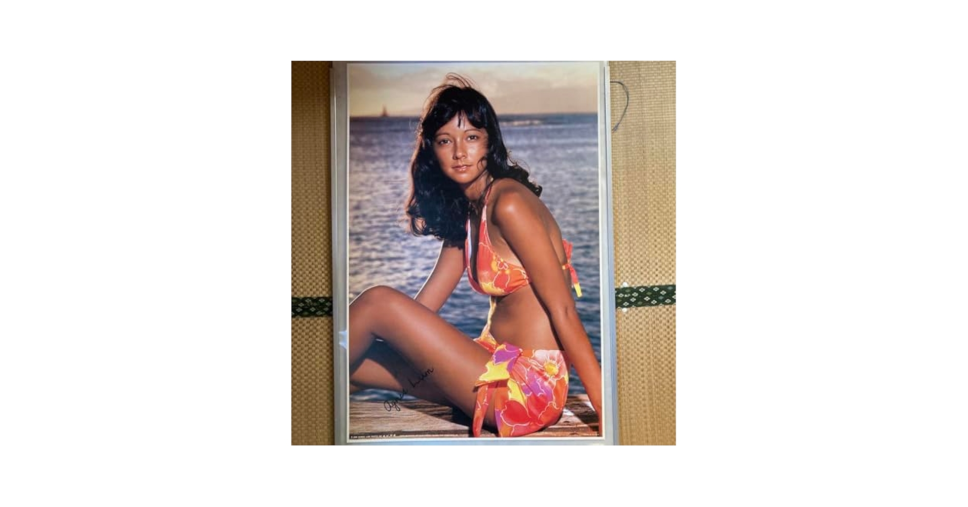 懐かしのアイドル　アグネスラム・A1サイズ・希少ポスター Amazon.co.jp: 懐かしのアイドル アグネスラムA1サイズ水着