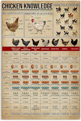 XGBMKREA Póster de pollo con texto en inglés 'Chicken Knowledge' sobre pollo para granjeros para amigos, música vintage, novedoso, divertido, hogar, baño, cabaña, granja, rústico, hombre, cueva,