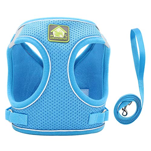 FEimaX Hundegeschirr mit Leine für Kleine Mittele Hunde Katzen Weich Mesh Welpengeschirr Atmungsaktive Brustgeschirr Verstellbare Reflektierend No Pull Weste Chihuahua Katze