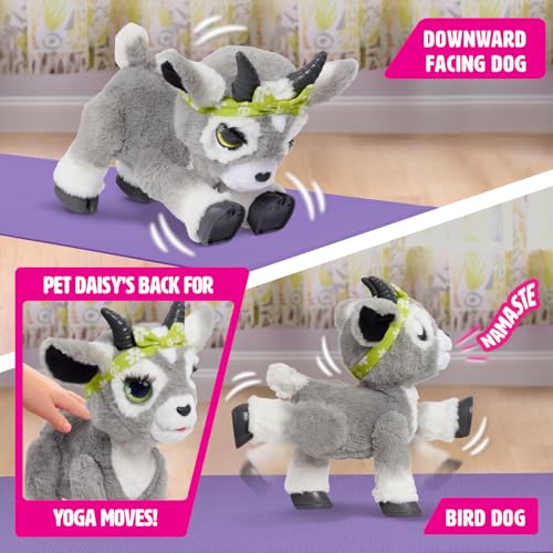 furReal Daisy the Yoga Goat Interactive Toy, 11-inch Realistic Plush, Kids Toys for Ages 4 Up by Just Play - Image 4