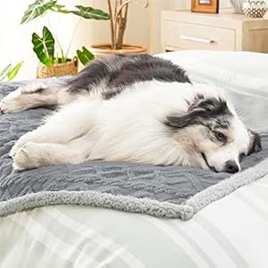 Bedsure-Waterproof-Dog-Blankets-for-Large-Dogs-Pet-Blanket-for-Couch-Protector-Washable-Premium-Jacquard-Coral-Fleece-Cat-Throw-Blanket-Soft-Plush-Reversible-Furniture-Protection-50x60-Grey - Cucciolini Doodles   Bedsure-Waterproof-Dog-Blankets-for-Large-Dogs-Pet-Blanket-for-Couch-Protector-Washable-Premium-Jacquard-Coral-Fleece-Cat-Throw-Blanket-Soft-Plush-Reversible-Furniture-Protection-50x60-Grey