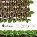 Naturae Decor PVC Expandable Trellis - Outdoor Privacy Screen - Sturdy and Flexible - Realistic Look - 36 in x 72 in - Mint Leaves