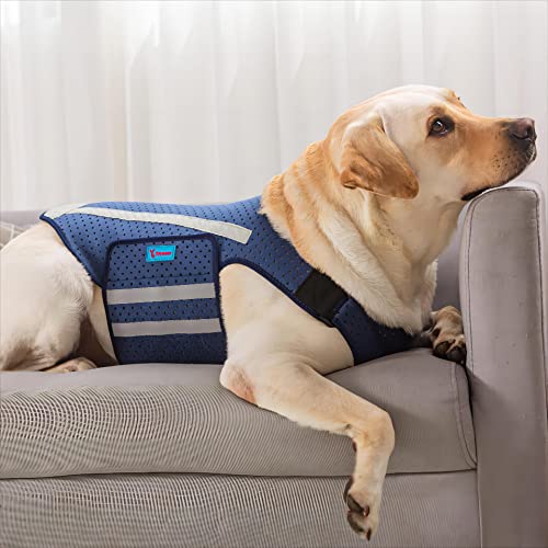 Top 10 Best Anxiety Jacket For Dogs Reviews & Buying Guide Katynel