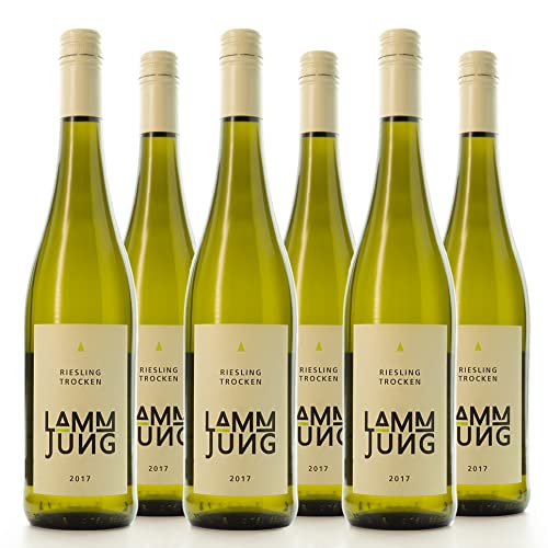 Weingut Lamm Jung Basis Riesling Weißwein Rheingau trocken 6 x 0.75 l Cover