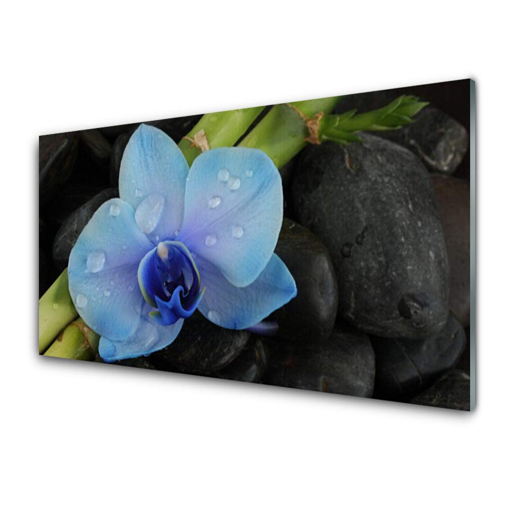 Décoration déco design fleurs et pierres en plastique imprimé sur verre 100x50