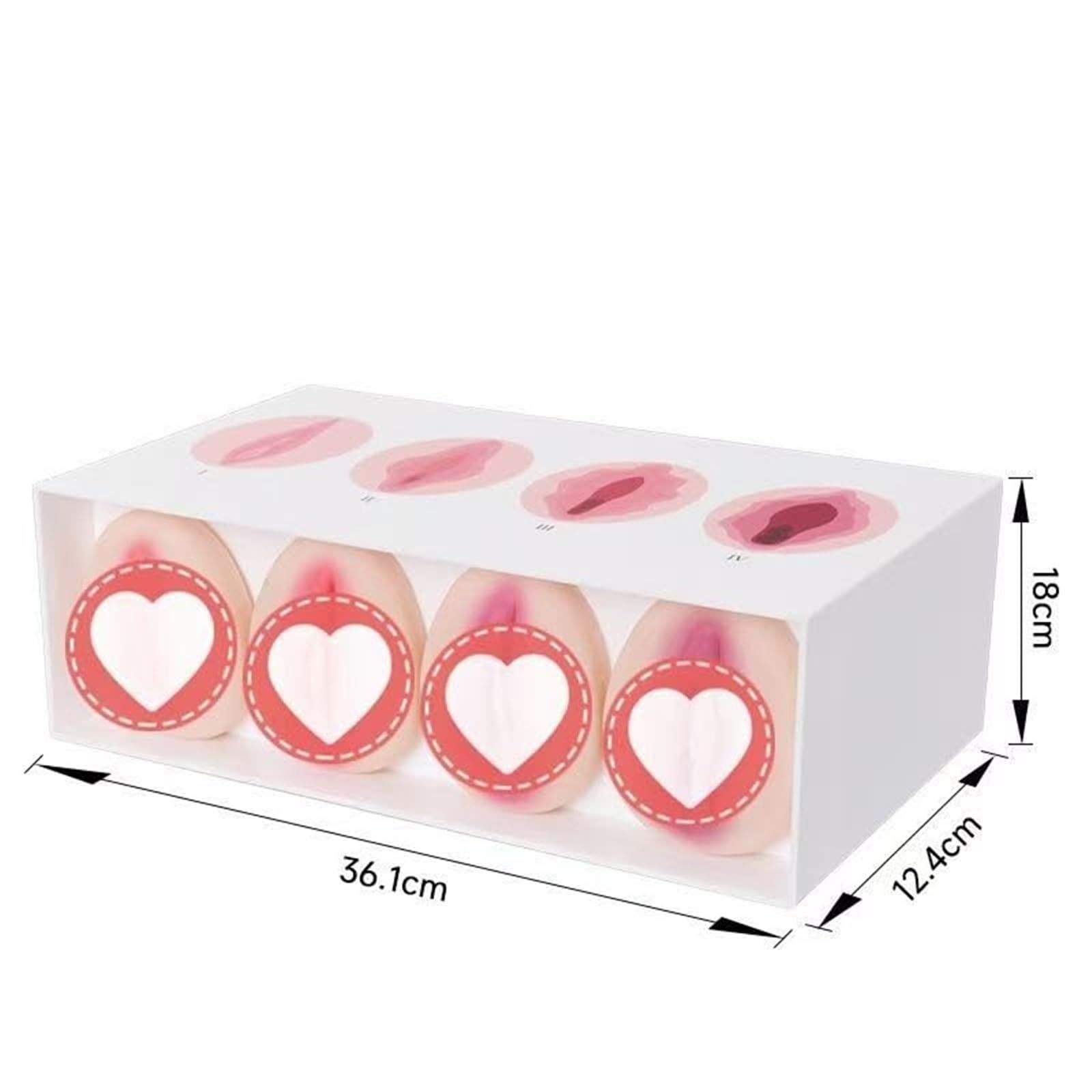 Klasy 1-4 Silikonowy model anatomii ginekologicznej naturalnej wielkości,