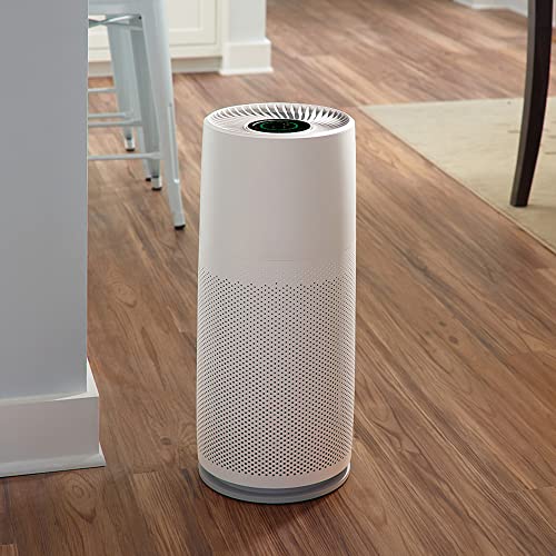 Sani-T Floor Hepa-13 Air Purifier With Touch Screen And 3000 Hour Filter Lifetime San-485 #TOP5