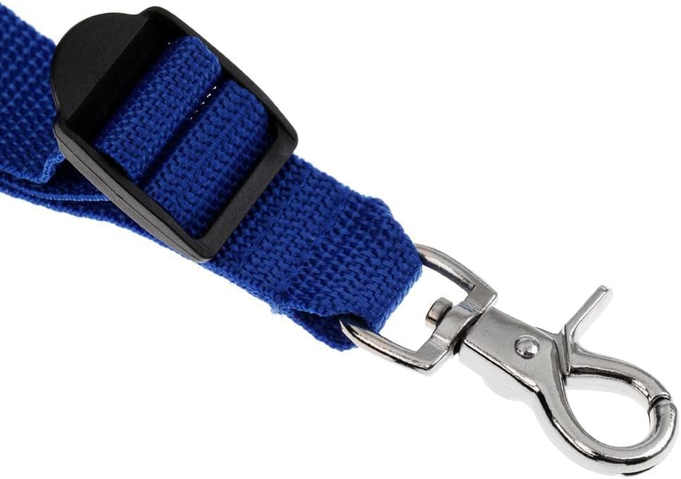 Adjustable EVA Padded Fishing Rod Stand Up Strap and Belt Set | Weight and -Corrosive | Comfortable Rod Holder for Boat Fishing | for Fishing Lovers | Blue