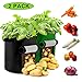 Produktbild Sinicyder 2 Pack Pflanzen Tasche, Kartoffel Pflanzsack Tasche, Dauerhaft Atmungsaktiv Beutel Gemüse wachsen Pflanztasche mit Fenster/Klettverschluss/Tragegriffen, 38L/10Ga, (Grün & Schwarz)