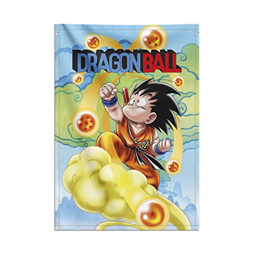 Grupo Erik Poster tela Dragon Ball Goku - Banderola decorativa Manga 70x100 cm│ Posters para pared enrollable : Decoracion habitacion juvenil