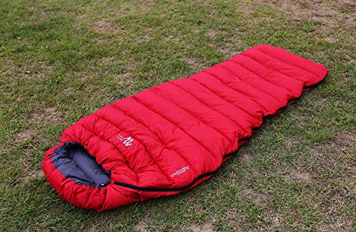 Amazon.co.jp: MINIMAL WORKS (ミニマルワークス) CHAMELEON 500