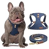 puppytie pettorina per cani di piccola taglia - guinzaglio per cani multifunzione, leggera, morbida, regolabile, senza soffocamento, a prova di fuga per animali domestici - blu denim, s, 4-8 kg