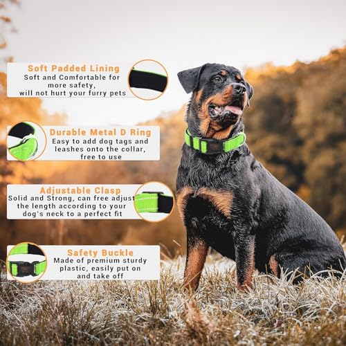 Image of Petology Reflective Adjustable Dog Collar for Medium Dogs (30-40 cms) | Soft Neoprene Padded Nylon Pet Collar with Safe & Quick Release Buckle | Comfortable, Lightweight & Durable