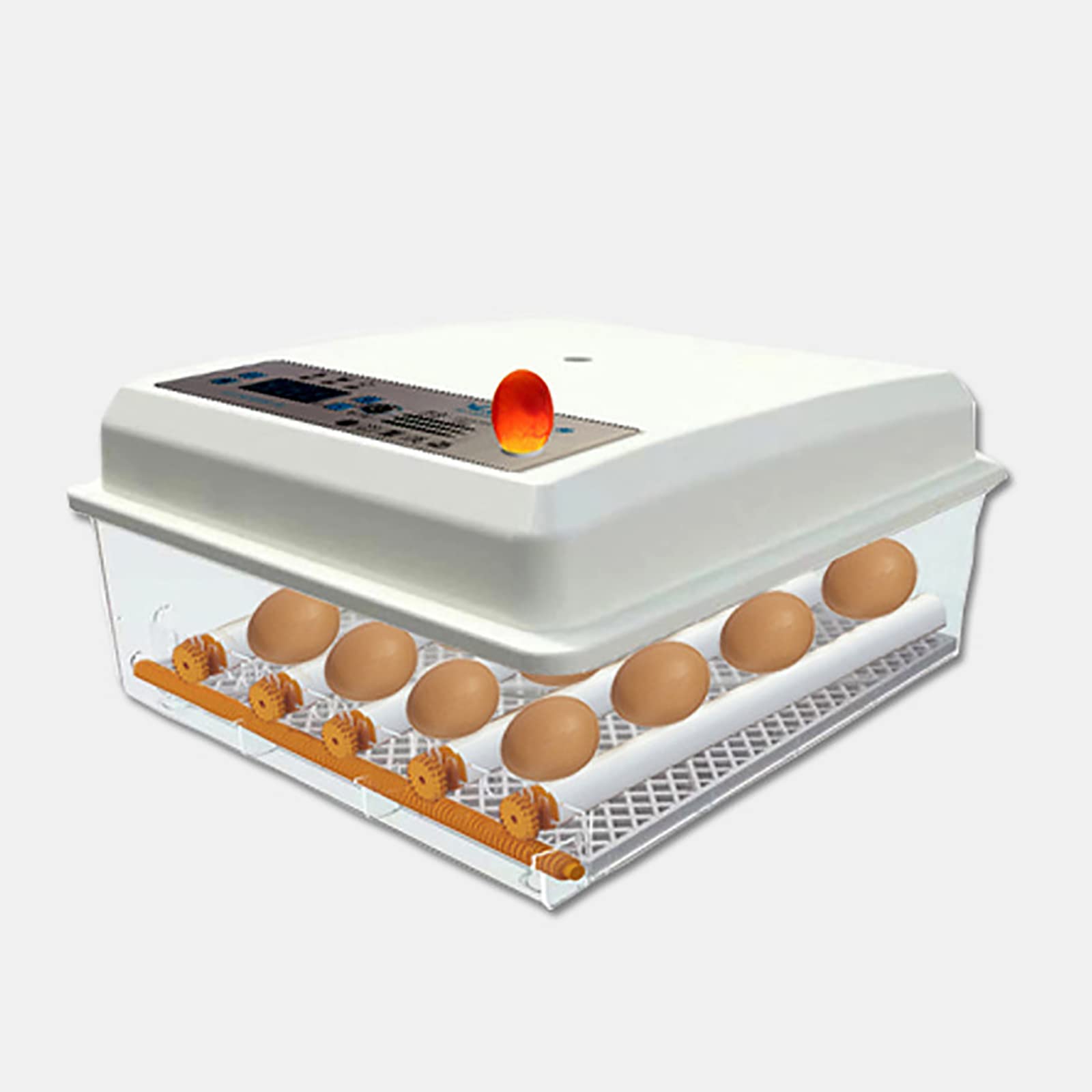 Buy Egg Incubator Automatic Turning (30 Eggs) Chicken Duck Incubator