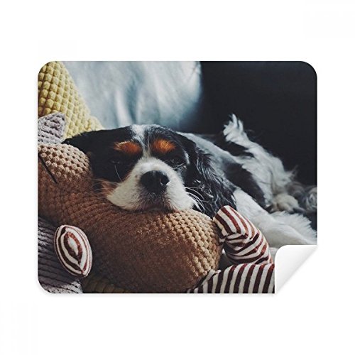 Chiffon lunettes anti-traces suède lazy dog pour écran
