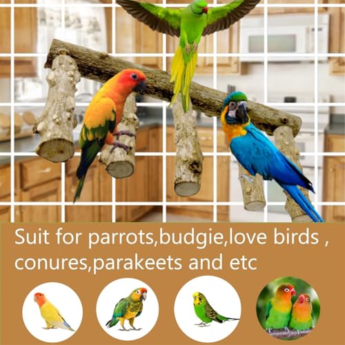 Image of Parrot Wood Stand,10 Inch Long Bird Cage Wood Perch Toys, Natural Bird Ladder for Small & Medium Parrots, Monk Parakeets, Cockatiels,Sun Conure, Green Cheeks, Lovebirds,Budgie