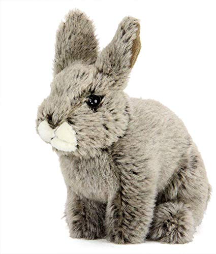 J[^ jzmETM ʂ (AAj}xCr[V[Y/₳G/ӂӂ) A   Ԃ aj l` Mtg v[g a t@[XggC NX}Xv[g